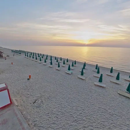 منتجع Holidays &