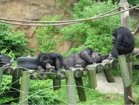 Holidays & リゾート ポッシディ