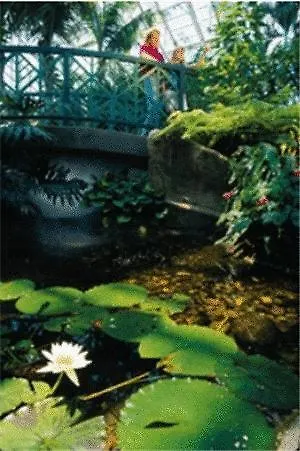 Holidays & ポッシディ